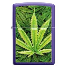 Zippo weed