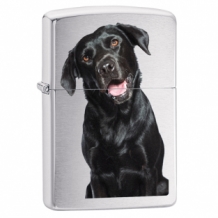Zippo Black Lab Chroom Brushed