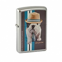 Zippo Teo Jasmin Dog