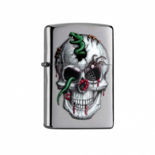 Zippo Toxic Skull