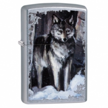 Zippo Wolf in Forest