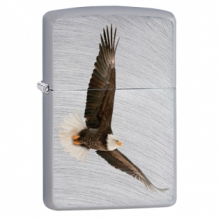 Zippo eagle