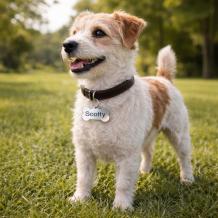 bot RVS chroom met gravure