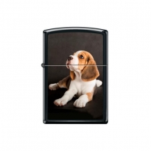images/productimages/small/zippo-beagle-puppy.jpg