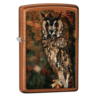 Zippo owl roosting