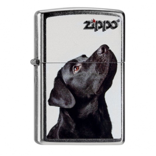 Zippo Black Lab